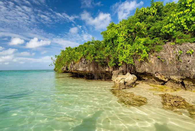 Visit Ile aux Aigrettes thumbnail 5