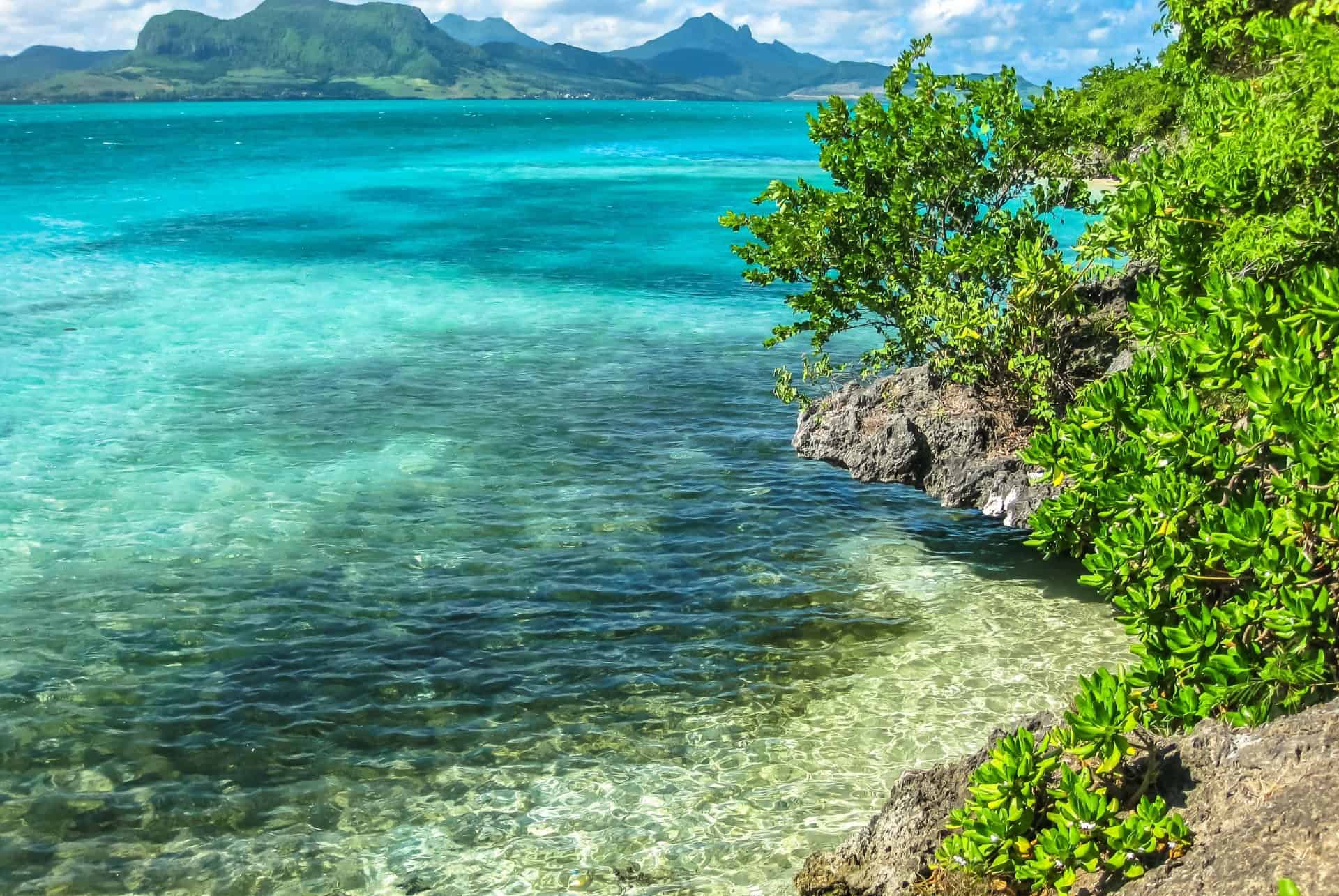 Visit Ile aux Aigrettes thumbnail 7